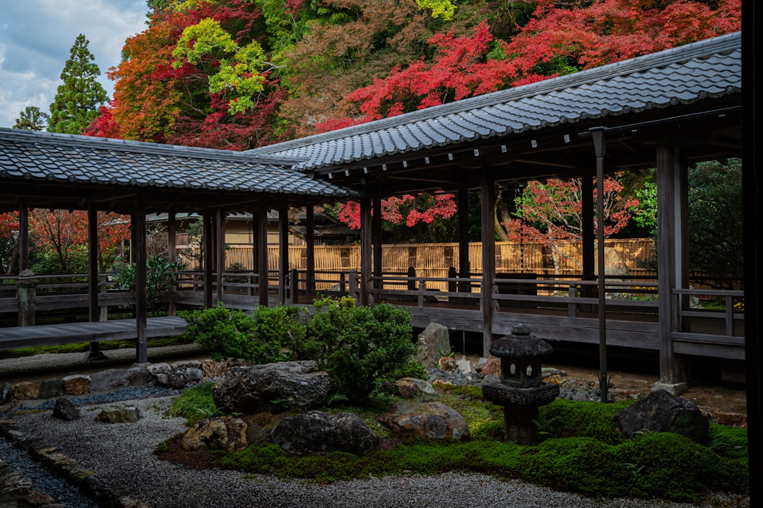 Photo: Samuel Berner · Unsplash