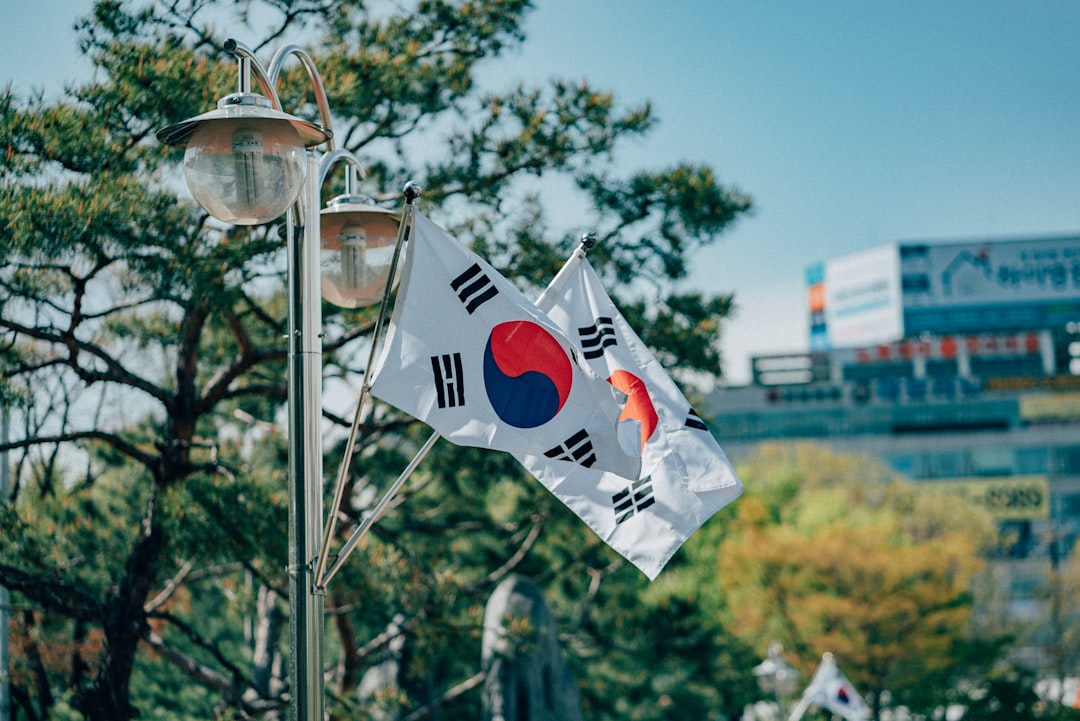 South Korea Visa Photo Size: Avoid Rejection