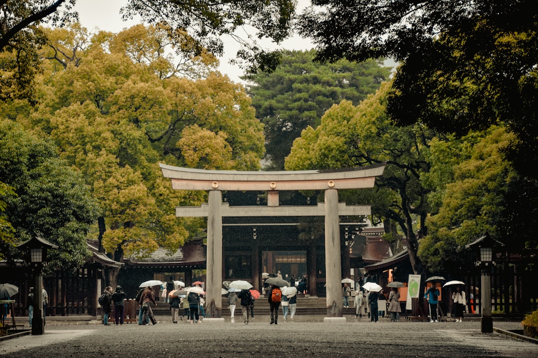 Tokyo Temples and Shrines: 7 Worth Visiting